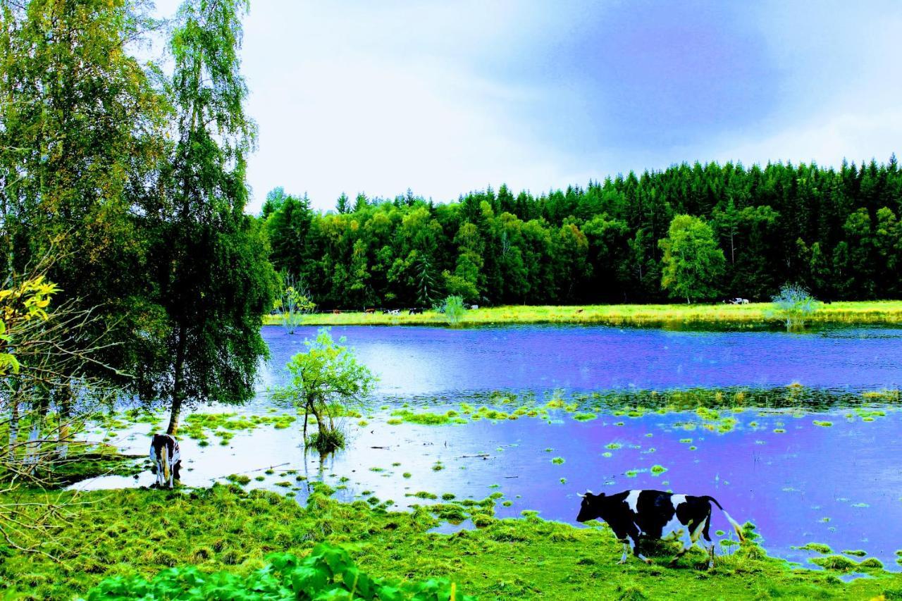 Affaeren Ma Bra Sunne Exterior foto